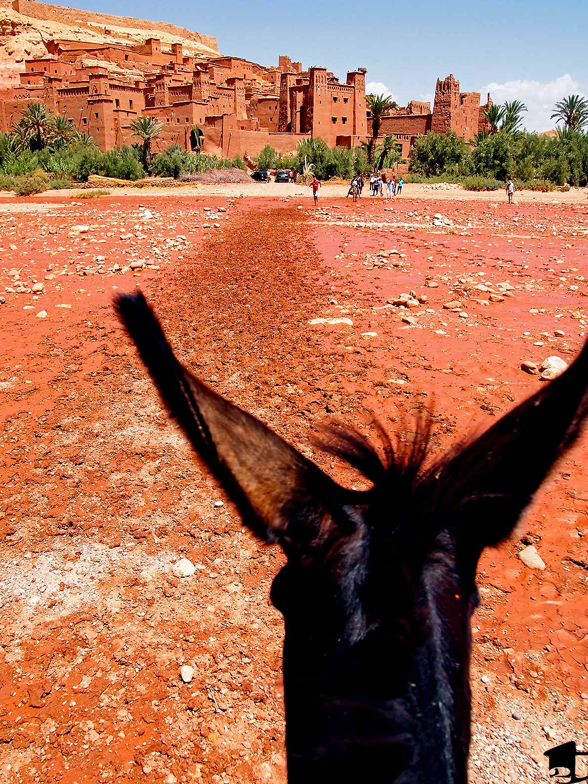 Riding a donkey in Morocco